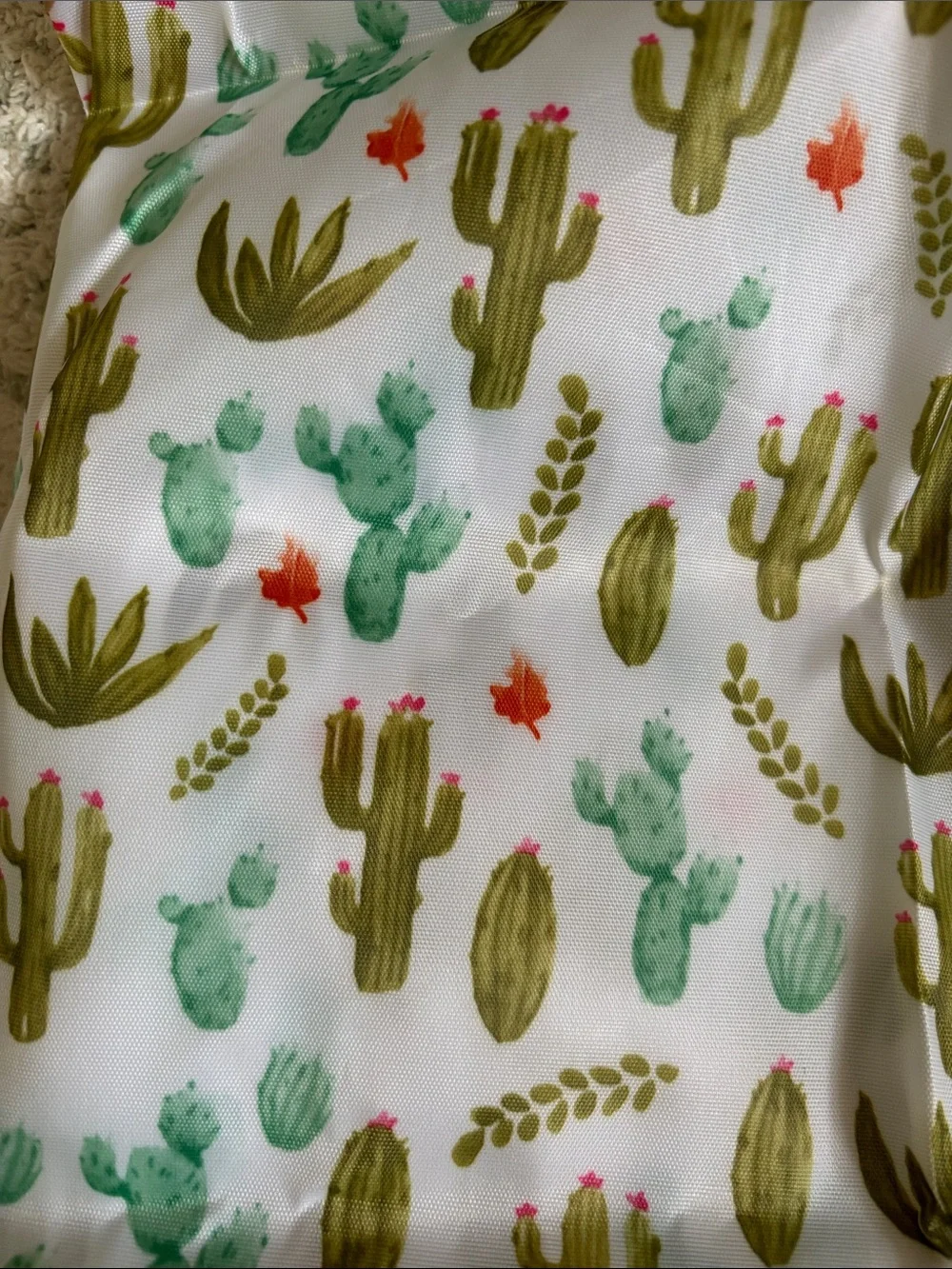 Desert Cactus Poly Canvas Large Tote Travel Bag Built in Case NWT 22x23”